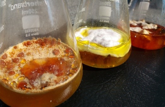 fungi flasks