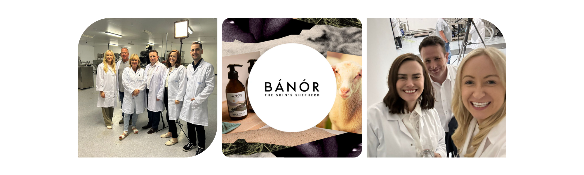 Banor – Case Study (2)