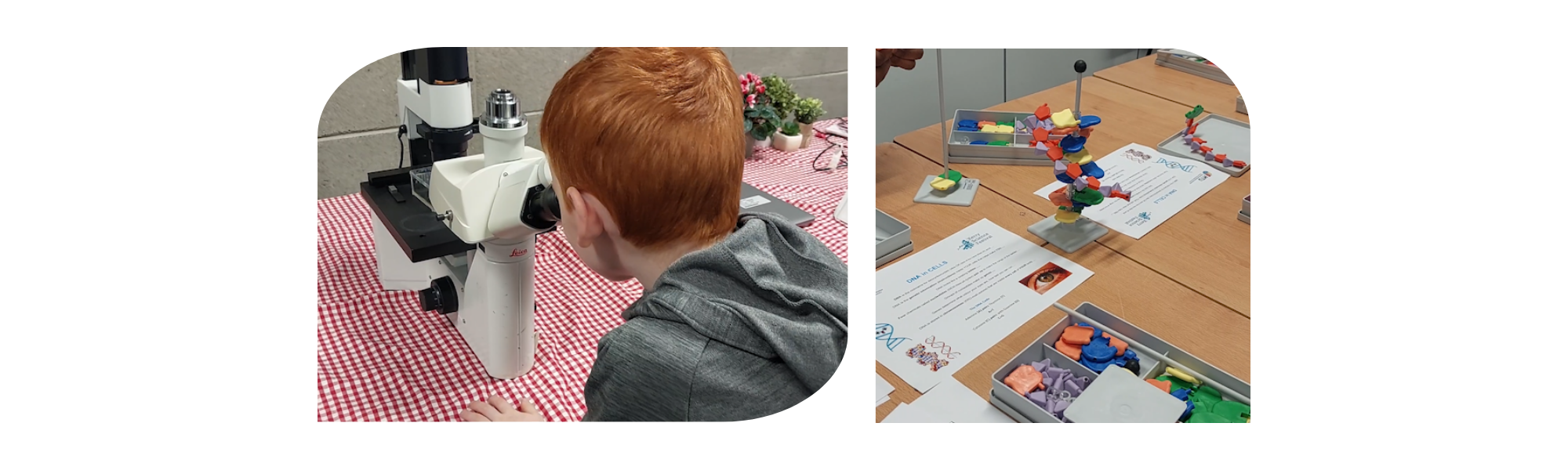 Kerry Science Festival 2024 – Thank you! (1)